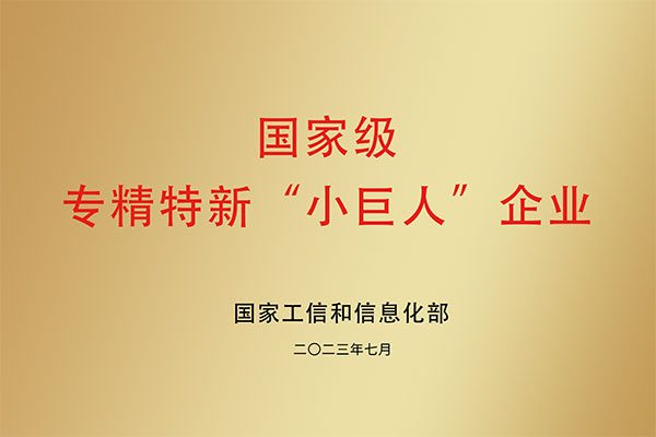 国家级 专精特新“小巨人”企业