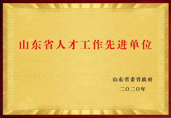 山东省人才工作先进单位