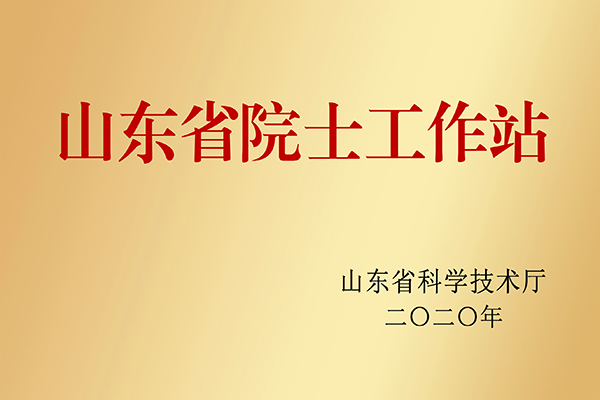 山东省院士工作站